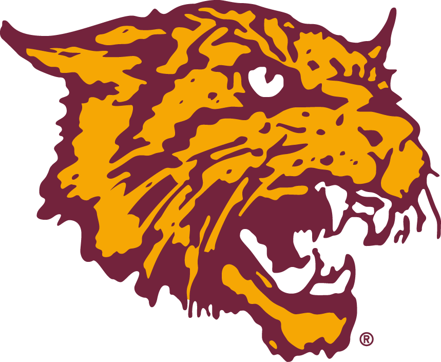 Bethune-Cookman Wildcats 2000-2015 Alternate Logo vinyl decal